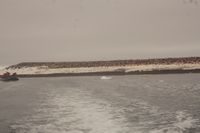 
DSC00166